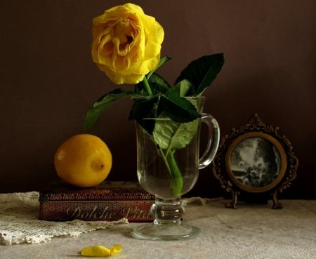 Still Life - yellow, book, still life, rose