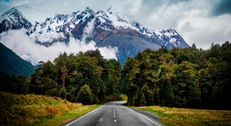 Through the forest - mountains, amazing, forest, road