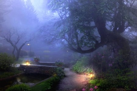 Misty park - misty, flowers, park, lights