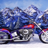 Harley Davidson motorcycles