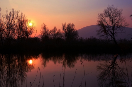 âœ¿âŠ±â€¢â•®â•­â€¢âŠ°âœ¿ - forest, trees, nature, sunset