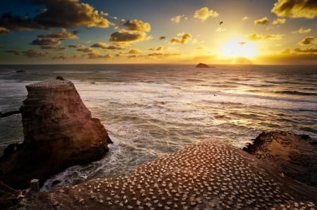 âœ¿âŠ±â€¢â•®â•­â€¢âŠ°âœ¿ - nature, ocean, sunset, rocks