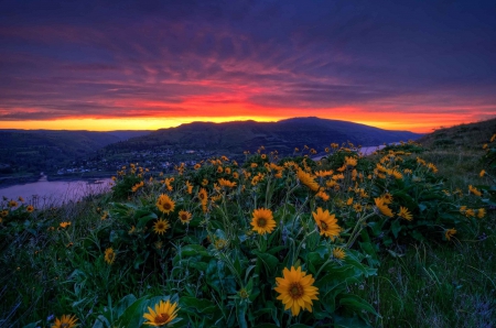 âœ¿âŠ±â€¢â•®â•­â€¢âŠ°âœ¿ - flowers, lake, flower, nature