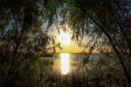 ✿⊱•╮╭•⊰✿ - lake, trees, sunset, nature