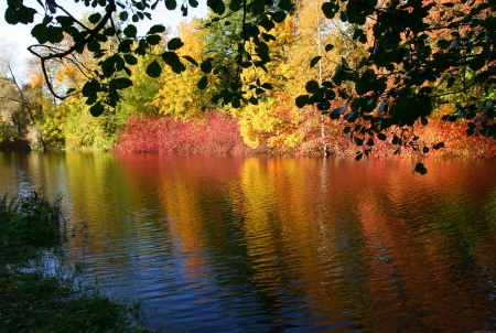 Autumn River - nature, rivers, autumn, trees