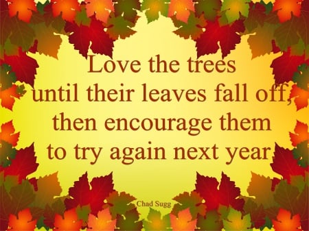 Encourage the trees - leaves, fall, quote, autumn