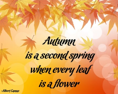 Second spring - fall, saying, autumn, leaf, quote