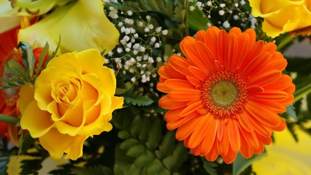 garden flowers - garden, orange, flower, yellow