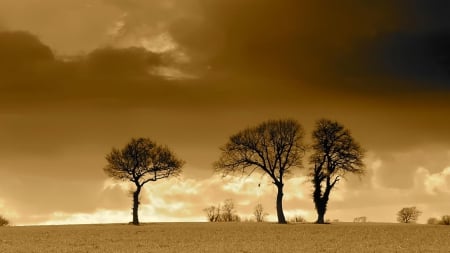 prairie - hill, prairie, grass, tree