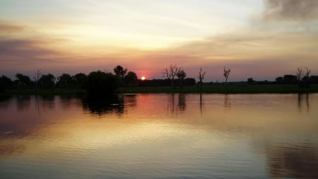 village pond - water, village, tree, pond