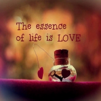 The Essence of Life is....