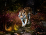 Tiger Artwork Picture