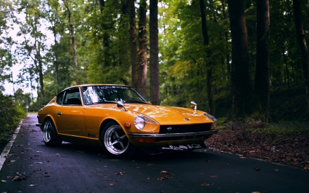 Classic from the 70's - datsun, forest, 240z, cars