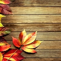 Fall background