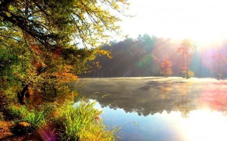 Autumn Landscape - beach, sun rays, wood, blue, lake, sky, sunrays, reflection, trees, autumn