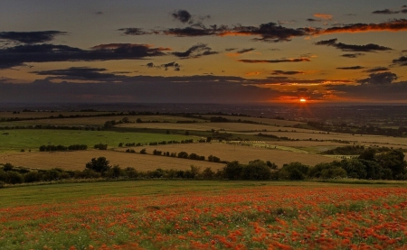 Sunset - great, fields, sunset, clouds