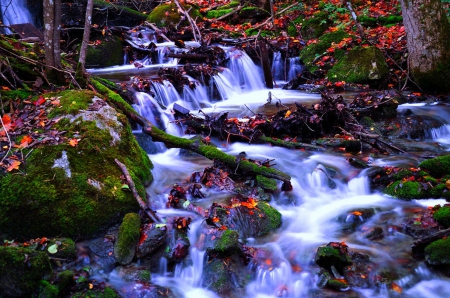 Last days of Autumn - trees, waterfalls, attractions in dreams, creative pre-made, beautiful, photography, falls, leaves, stunning, autumn beauty, fall, nature, autumn, landscapes, love four seasons