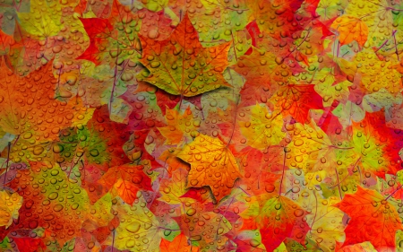 Autumn Leaves - colorful, Autumn, water drops, Fall, rain drops, drops, leaves