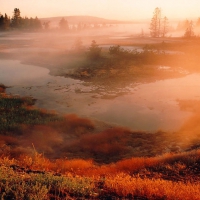 Autumn Mist over Yellowstone National Park