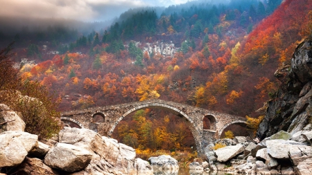 Mist over Autumn Forest Bridge - mists, bridges, forests, nature, fog, autumn