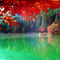 â˜…Autumn Lake in Japanâ˜…