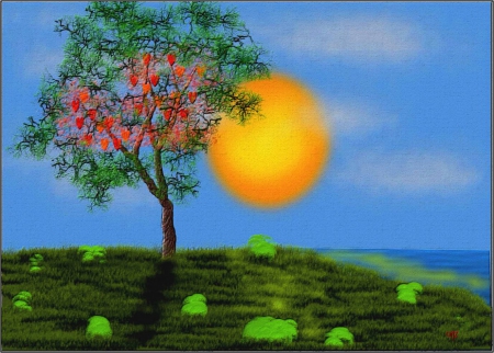 Arbol del amor - color, pasion, fantasia, vista