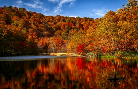 Autumn reflections - reflections, beautiful, tranquil, colors, forest, lovely, lakeshore, calmness, river, nature, autumn, serenity, sky