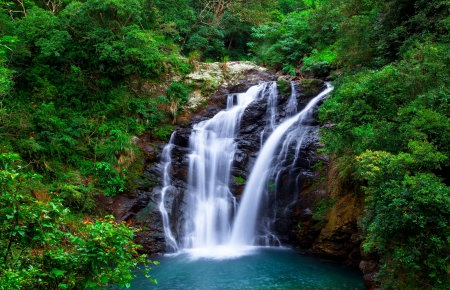 Forest waterfall - nature, trees, forest, beautiful, greenery, summer, waterfall, serenity