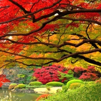 â˜…Autumn - Garden Japaneseâ˜…