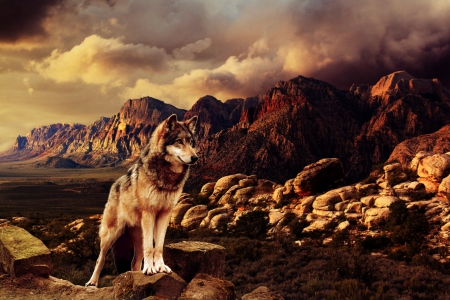 Mountain World - watch, clouds, mountain, wolf