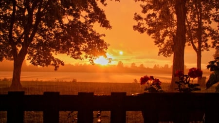 Sunset - nature, fence, trees, sun, sunset, field