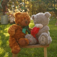 Teddy Bear Hugs