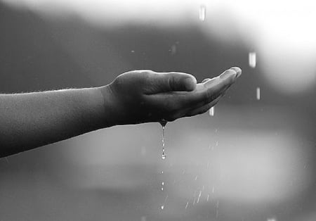 Rainy Day - rainy, hand, drops, rain