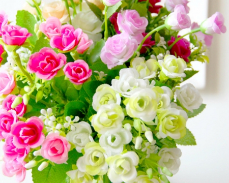 Beautiful Roses - white, roses, petals, pink, flowers