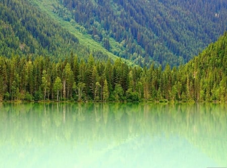 Emerald Lake - beauty, slope, trees, paradise, nautre, view, green water, reflection, emerald, green, lake, mountain, magical, lovely, mountian, forest, mirror