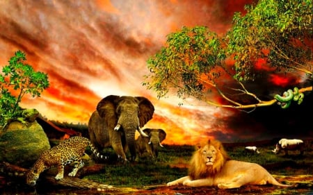 Wild Animals - nature, sky, elephant, lion, wild, animals, tiger