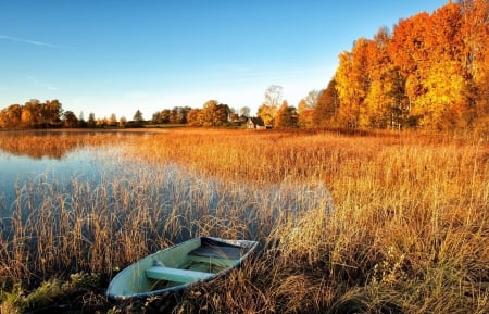 * - nature, lake, autumn, forest