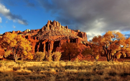 Golden Autumn - fall, trees, landscape, mountain, leaves