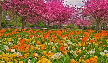 * Beautiful park * - nature, park, flowers, trees