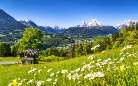 * Spring time * - nature, mountains, field, flowers, floiwer