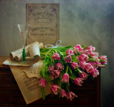 Still life - flowers, tulips, pink, soft