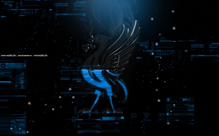 Liverbird Wallpaper Series #2 by AR' - ANGUSXRed, lfc wallpaper, liverbird, AR, lfc, liverpool fc, liverpool fc wallpaper