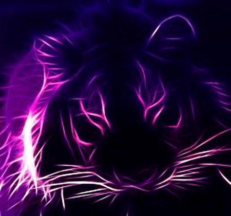 Tiger - face, purple, pink, head