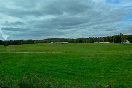 Beautiful Green Field - scenic field, green field, Beautiful Green Field, beautiful field