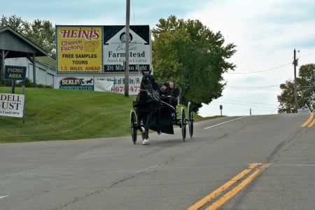 Horse and buggy - horse and buggy, breaking amish, amish, amish country