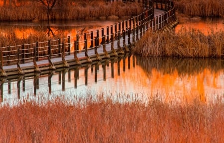 Wooden bridge over the pool - wooden, pool, river, bridge, trees, autumn