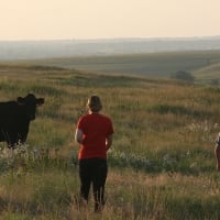 Cowgirl Roundup