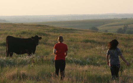 Cowgirl Roundup - girls, women, cows, ranch, cowgirls, country, outdoors, females, sky, fun, fields