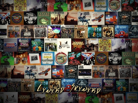 Lynyrd Skynyrd - american rock, band, music, rock, lynyrd skynyrd