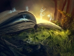 The Book of Nature